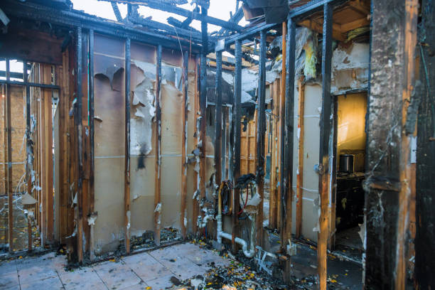 Professional Fire Damage Removal technician working in Bronson, FL